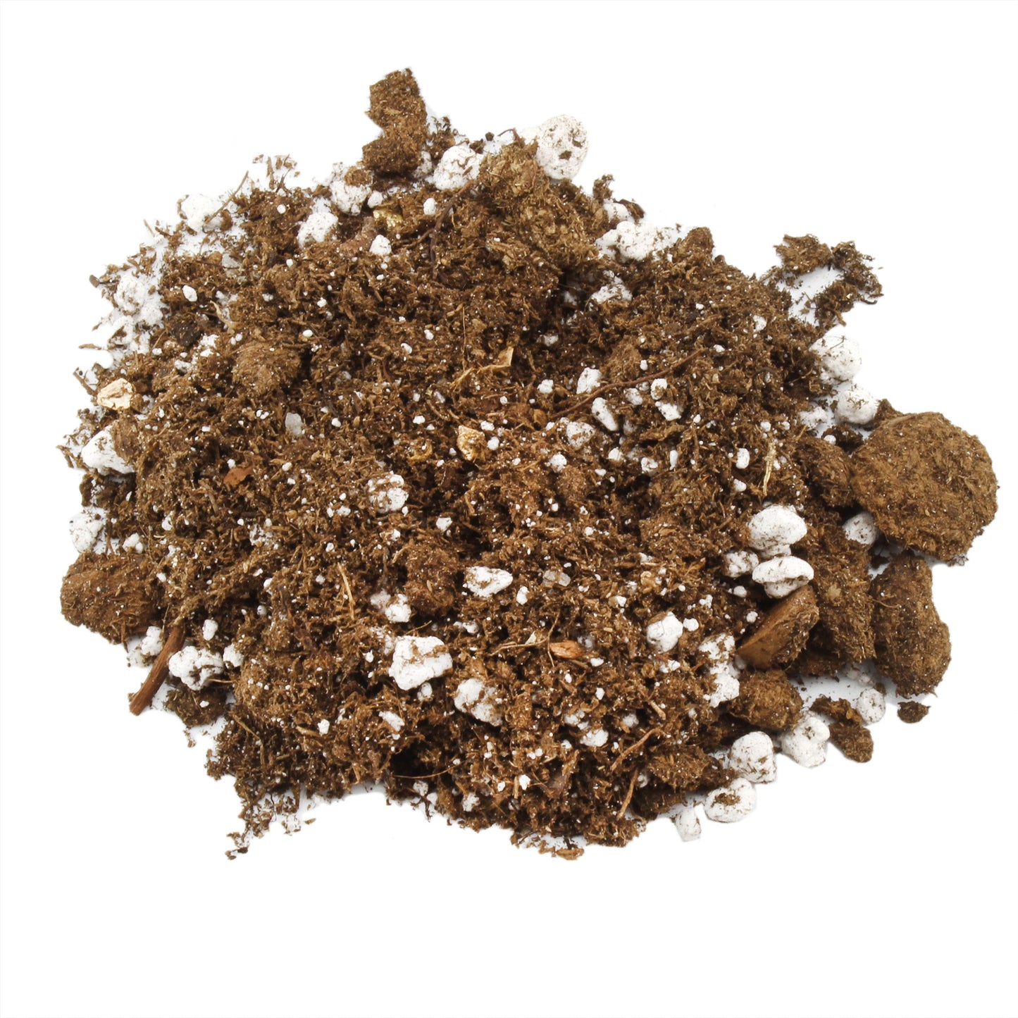 Kalanchoe Plant Potting Soil Mix
