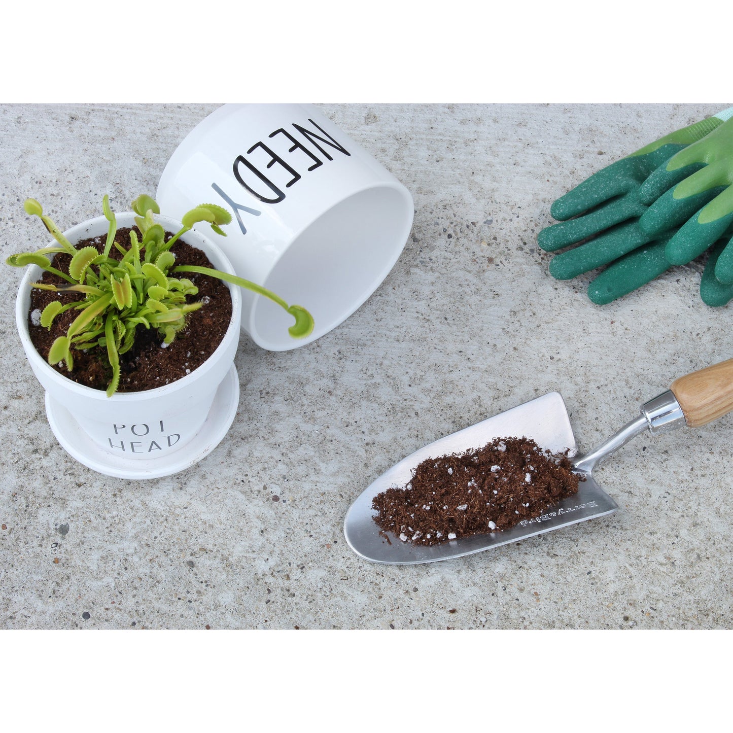 Carnivorous Plant Potting Soil Mix (4 Quarts) - SSKIT146