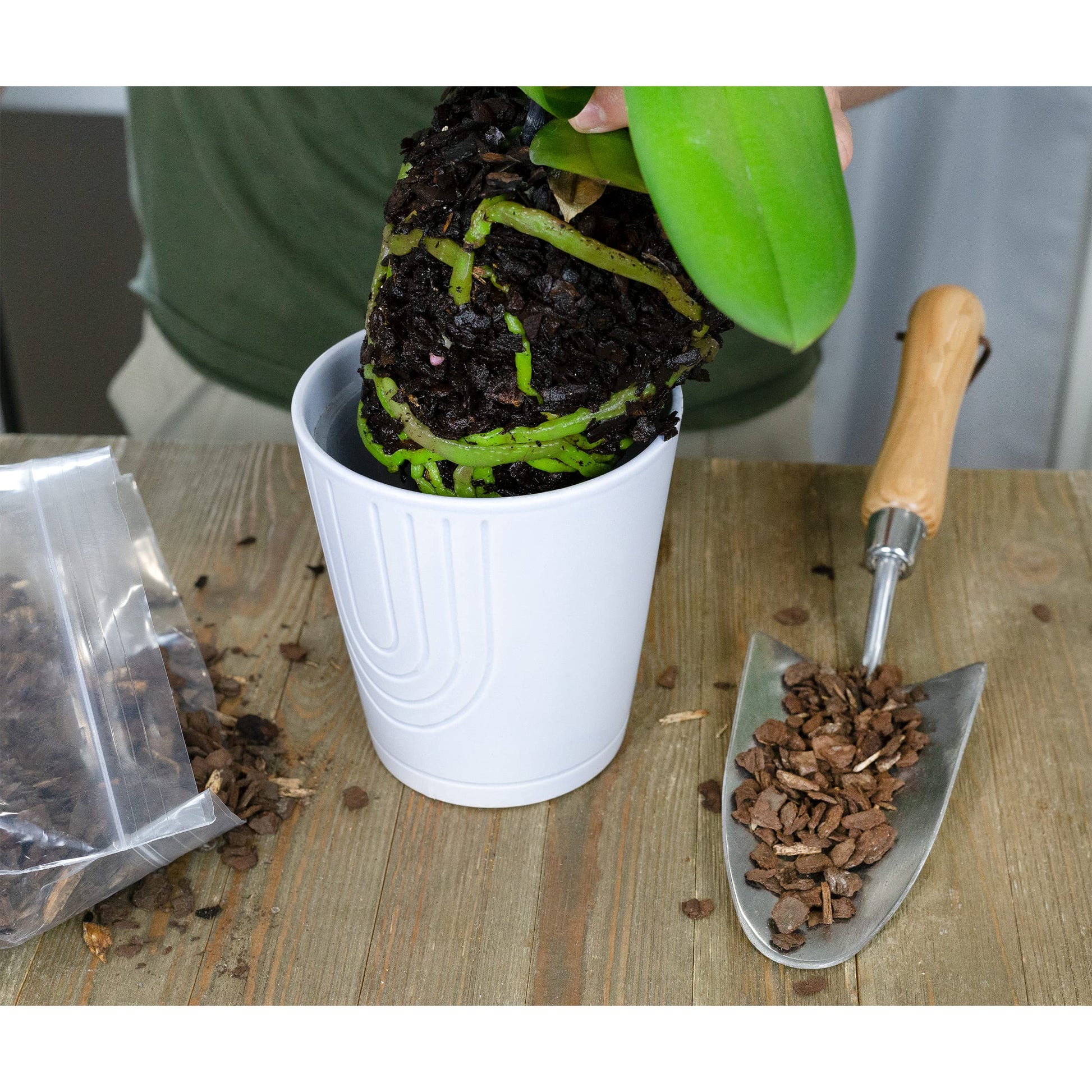 100% Organic Orchid Potting Bark (2 Quarts) - SSKIT163