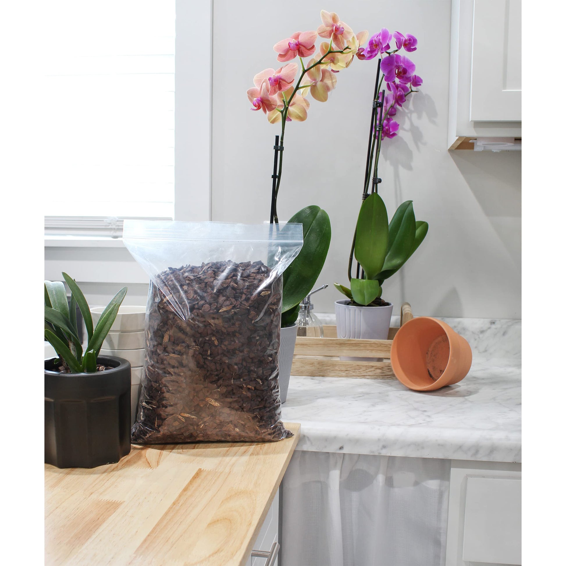 100% Organic Orchid Potting Bark (4 Quarts) - SSKIT164