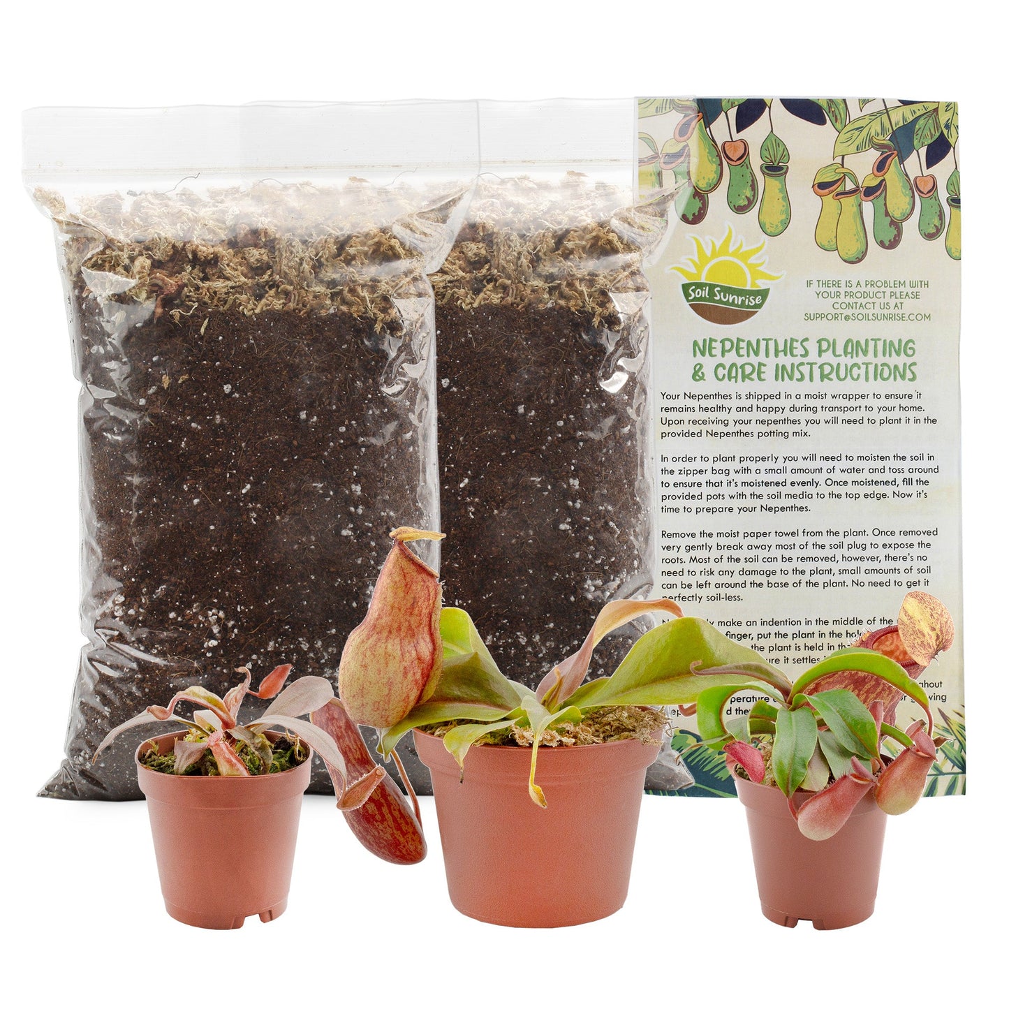 Live Pitcher Plant Variety Pack (3-Plant Kit w/Potting Mix), Nepenthes Carnivorous Plants for Indoor Container Gardening - SSKIT223