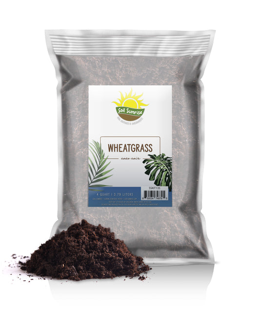Wheatgrass Sprouting Potting Mix (4 Quarts) - SSKIT135