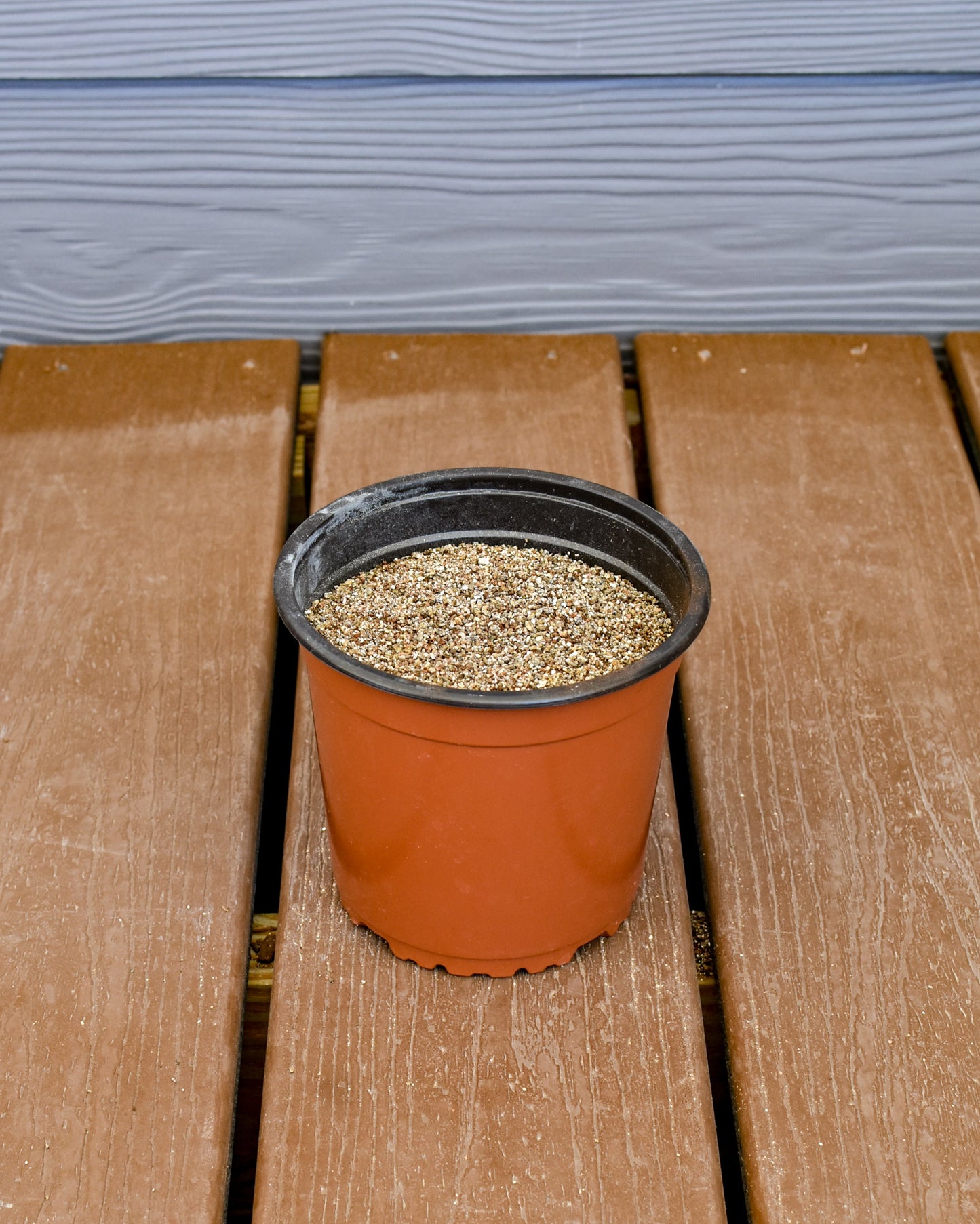 All Natural Vermiculite Soil Additive (1 Quart) - SSKIT103