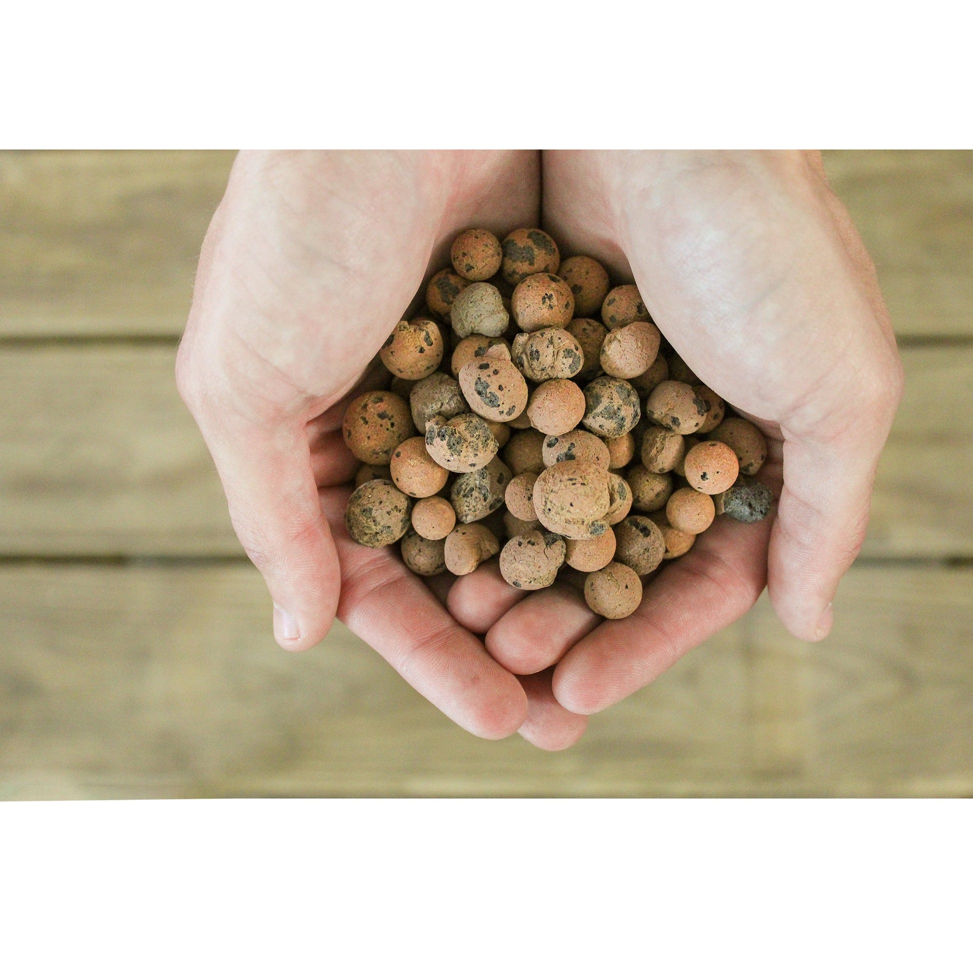 Expanded Hydroponic Clay Pebbles (2.5LB)